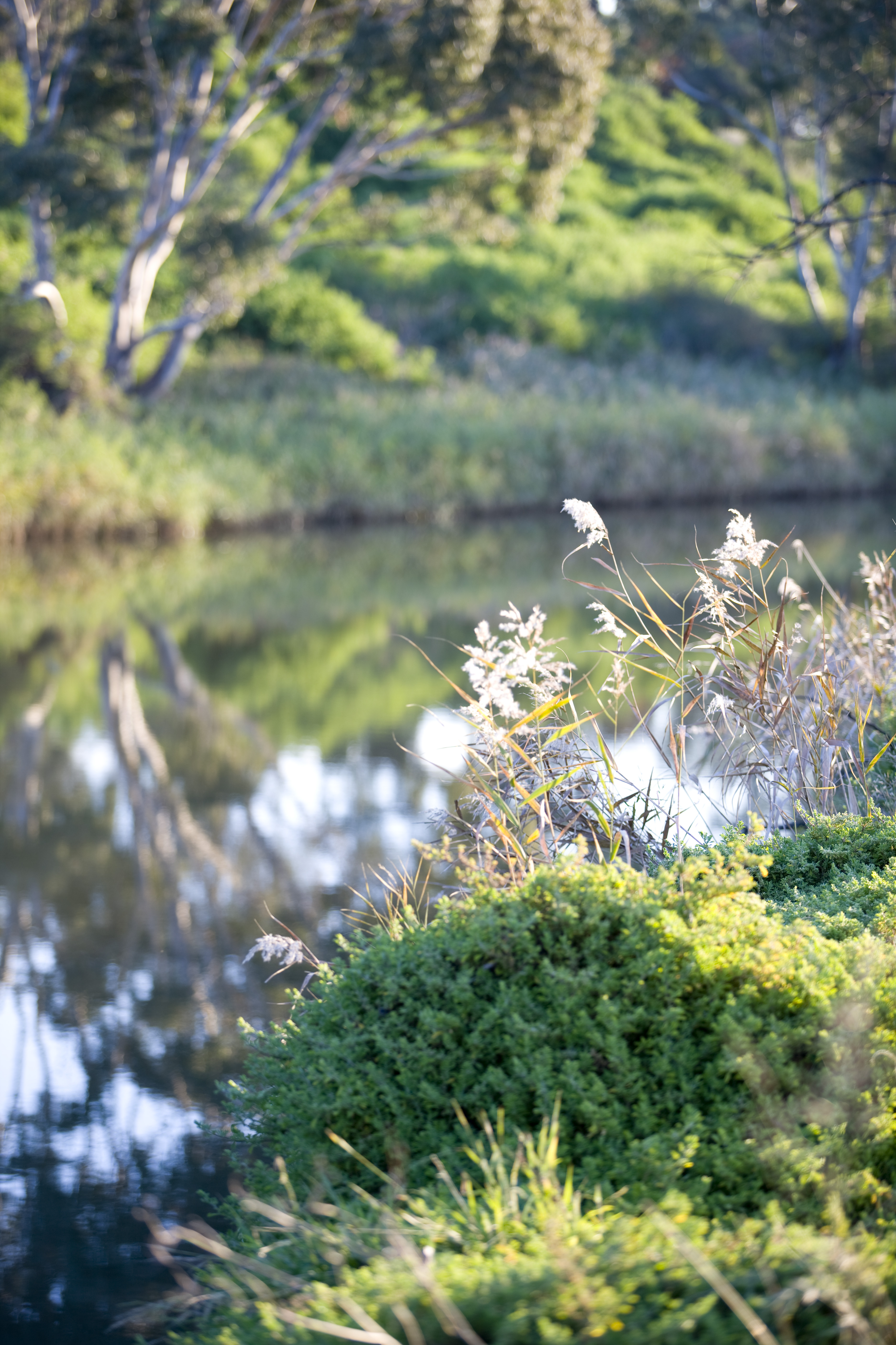 Retirement Village Melbourne 9